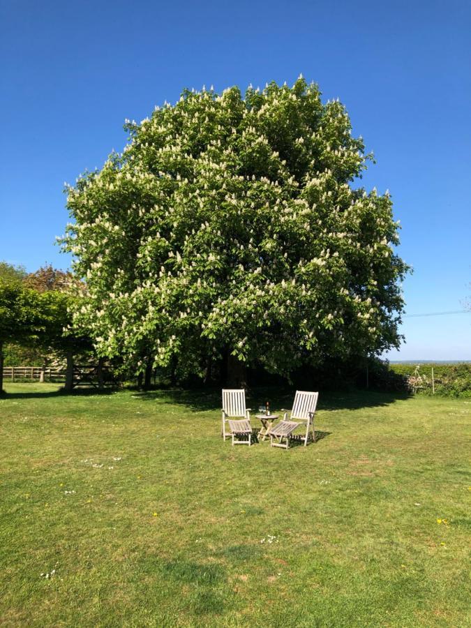 Bed and Breakfast The Old School, Idbury, Ox7 6Ru Chipping Norton Exteriér fotografie